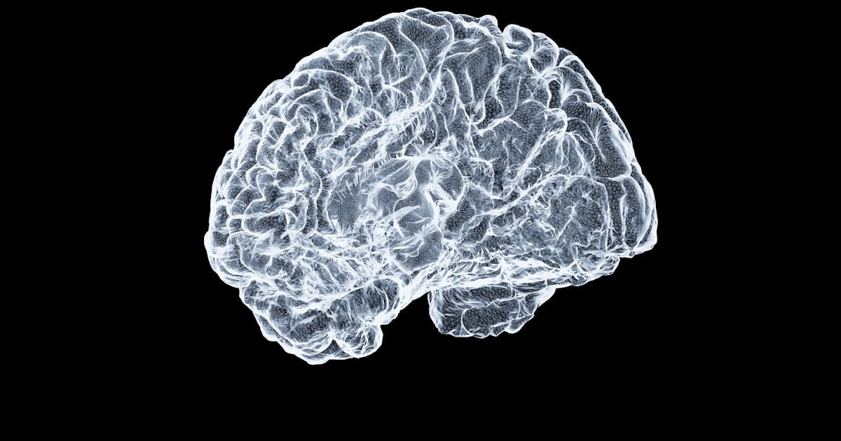 Traumatic Brain Injuries in Cleveland: Your Rights Under Ohio Law This Summer