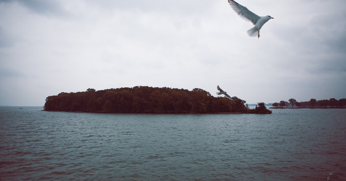 Choppy open water on Lake Erie under a cloudy sky