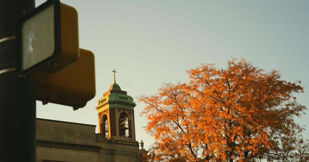 A Cleveland crosswalk signal and school-zone sign along a residential street