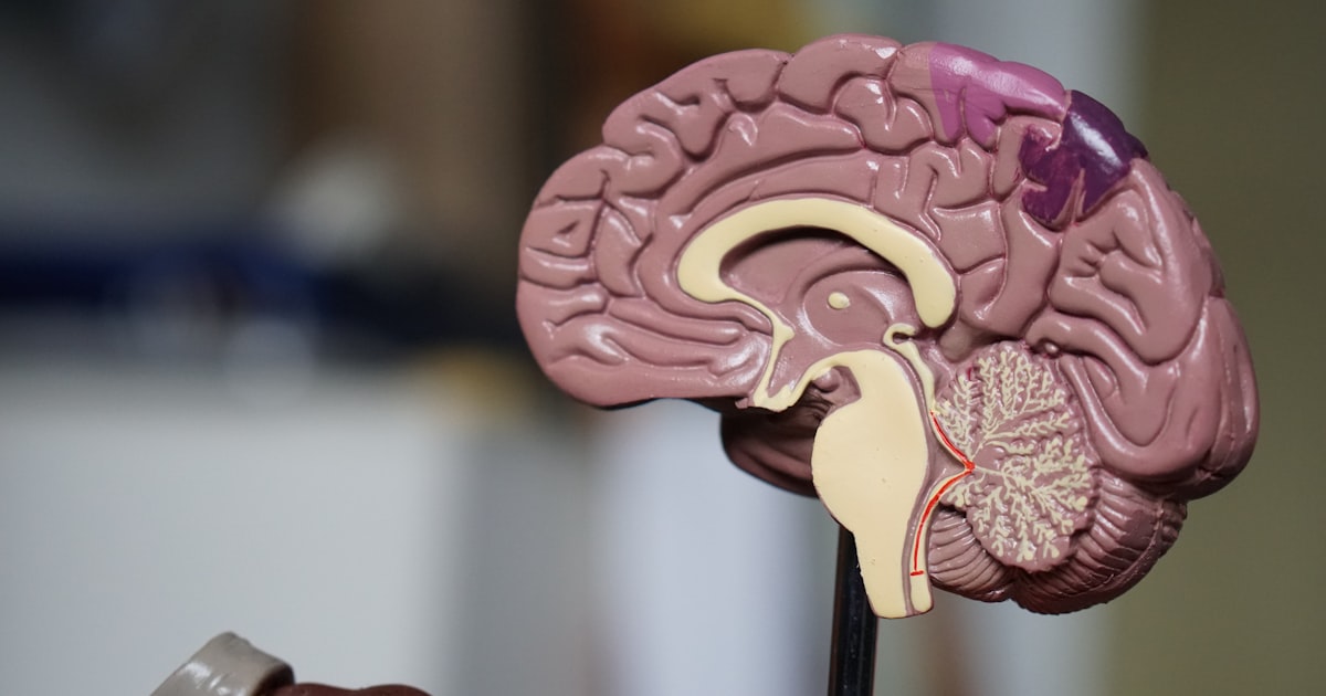 Doctor and patient discussing brain injury treatment and recovery in a Cleveland clinic