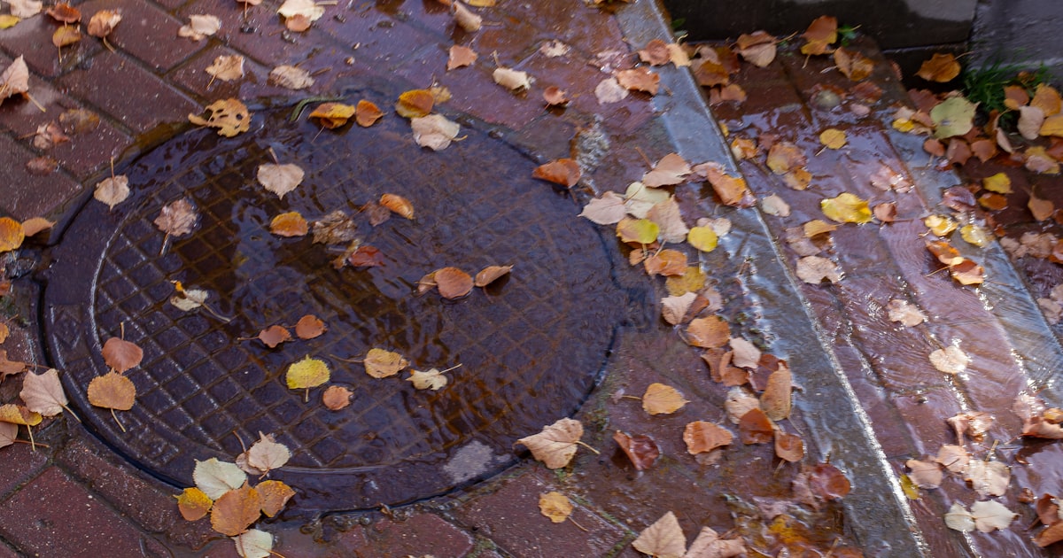 Cleveland Slip and Fall Claims: Your Rights Under Ohio Law as Wet Leaves and Early Frost Raise Fall Hazards in 2026