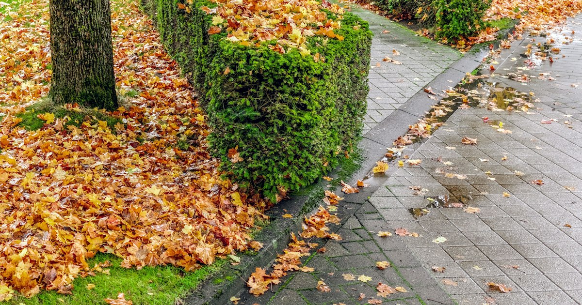 A slippery tile entryway with a caution sign after autumn rain