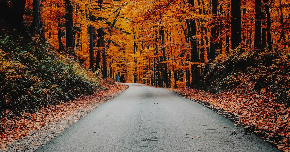 Quiet tree-lined Ohio road in autumn representing the personal representative and family in a Cleveland wrongful death case