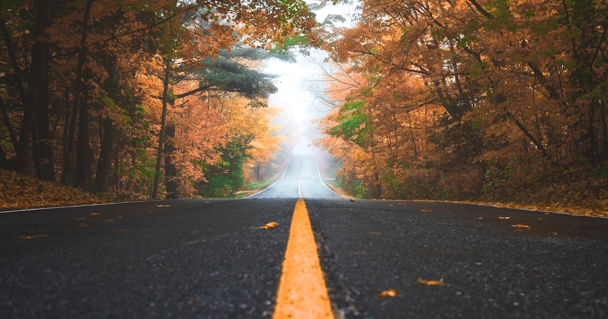 Fall landscape along an Ohio roadway, reflecting the damages Cleveland families may recover in a wrongful death claim